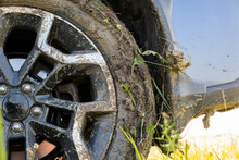 Close Up Of Dirty Off Road Car Wheels With Dirty Tires Covered With Yellow Mud.