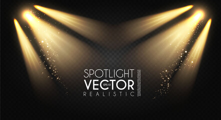 Wall Mural - spotlight. transparent light effect. show design. light source. empty scene.