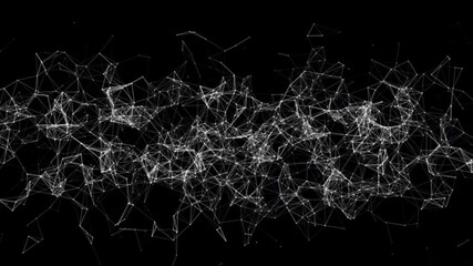 Wall Mural - black network animation lines video background