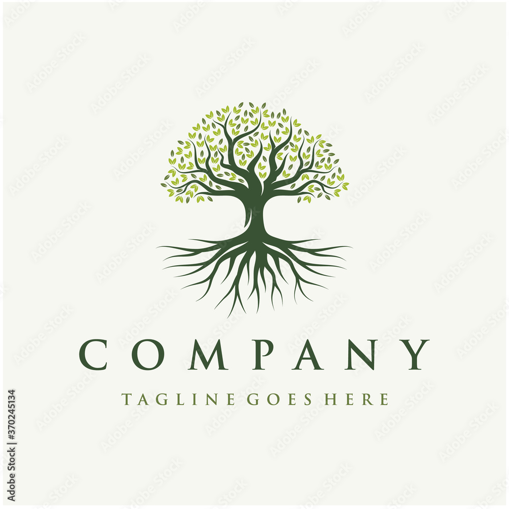 Abstract Vibrant Oak Banyan tree logo design, tree and root vector ...