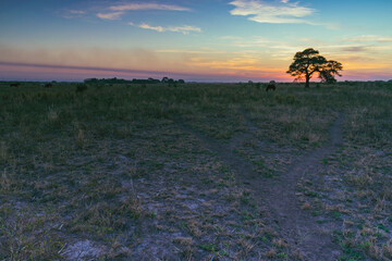 atardecer de campo con el sol ya puesto en horizonte