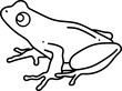 Frog Minimal Line Art