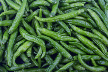 Green Organic Shishito Peppers in a bunch.