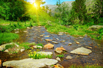 Wall Mural - sunset in mountains and a picturesque stream