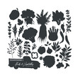 © Maria - Vegetables and herbs vector silhouettes collection. Organic farm food set. Vector illustration