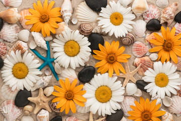 Wall Mural - Beautiful background of daisies, seashells, starfishes and black stones on the sand.