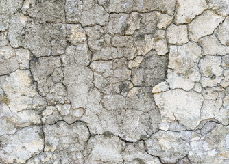 Wall Mural - Texture of gray, dirty, cracked concrete wall. Cracks background.