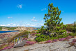 Landschaft auf der Insel Dyrön in Schweden