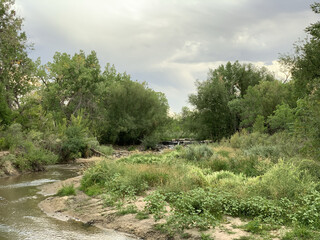 Cherry Creek 2