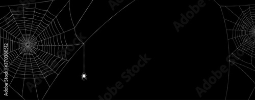 Cuadros en Lienzo White spiderweb with spider on black background.