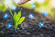 © Worawut - Farmer's hand watering a young plant, Modern agriculture with technology concept