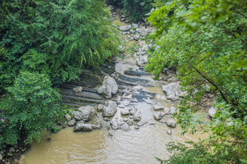 Wall Mural - river in the forest