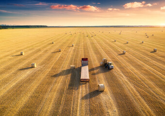 Aerial view of truck with hay bales. Agricultural machinery. Chamfered field and hay stacks after harvesting grain crops at sunset. Top View. Tractor loads bales of hay on truck with trailer. Harvest