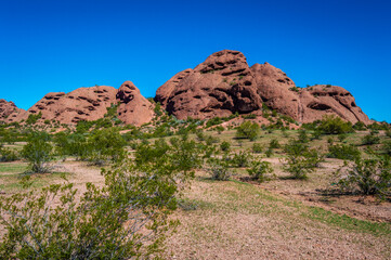 Wall Mural - The red sandstone buttes of Papago Park in Phoenix, Arizona. After a recent rain the surrounding desert starts to turn green.