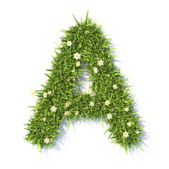 Wall Mural - Grass font Letter A 3D