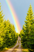 Forest Country Road Leading To Rainbow - The Place Where Treasure Is Hidden. Landscape After Rain
