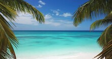 Aerial View Of Motion Through The Leaves Of Palm Trees To The Horizon Over The Beautiful Tropical Beach And Turquoise Water Of Caribbean Sea. Clear Blue Sky On Background