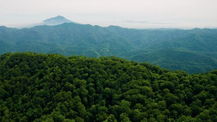 Canvas Print - 白神山地から岩木山空撮