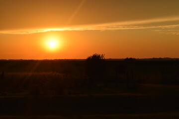 Wall Mural - Summer Sunset