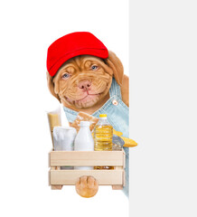 Poster - Delivery dog wearing red cap and overalls holds box with grocery and looks from behinde empty white banner. Food delivery or safe shopping during coronavirus outbreak