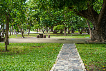 Canvas Print - path in the park