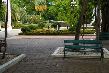 Sticker - bench in the park