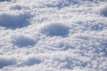 Wall Mural - Macro background of fresh snowflake texture