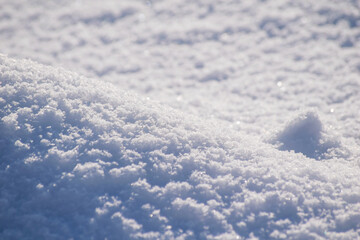 Wall Mural - Macro background of fresh snowflake texture