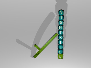 Leinwandbilder - NIGHTSTICK text beside the 3D icon. 3D illustration