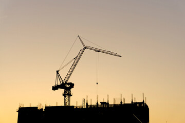 Wall Mural - Black steel tower crane standing on top of black building on construction