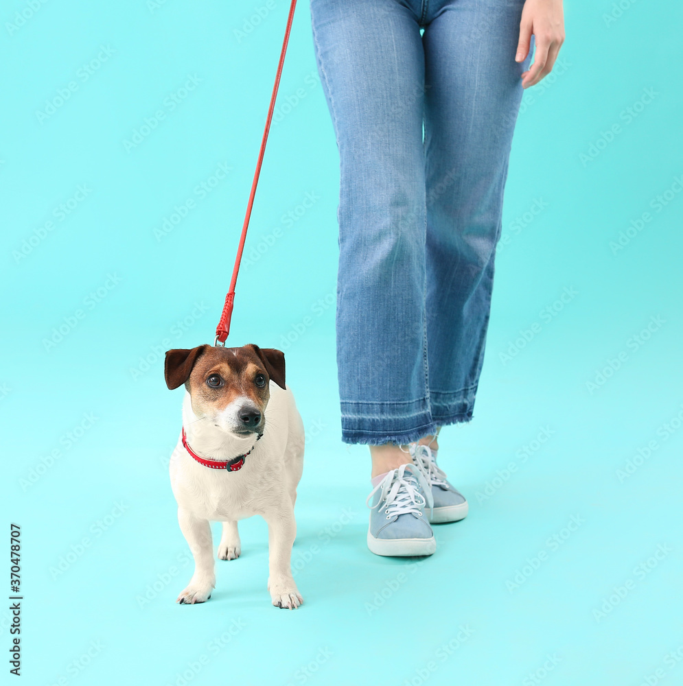 Young woman with cute dog on color background