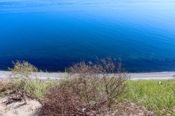 sea and grass