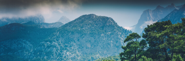 Canvas Print - Beautiful mountain landscape, pine forest on hills with blue sky and clouds, panorama banner format