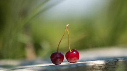 cherries on a blue background