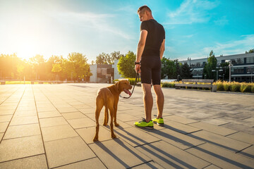 Silhouettes of runner and dog on city street under sunrise sky in morning time. Outdoor walking. Athletic young man with his dog are running in town.