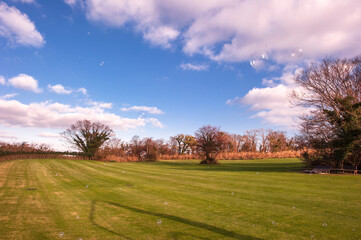 Wall Mural - The lake landscape in spring on the background of green grass and tree.