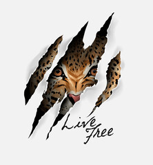 leopard face in claw mark vector illustration