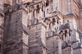 Fototapeta Las - The great wall of Notre-Dame de Paris Cathedral
