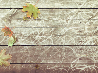 Shabby wood planks with autumn foliage, copy space background