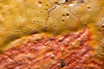 Wall Mural - Background with an old metal surface with streaks of rust and peeling yellow paint with holes and cracks. Fine details at high magnification. Photo with soft focus and blurred backdrop.