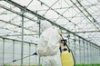© standret - Young greenhouse female worker in full white protective uniform watering plants inside of hothouse