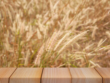Wheat Field On Wooden Table For Product Display