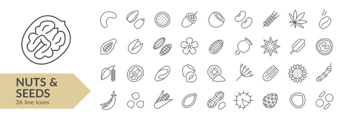 Nuts & seeds line icon set. Isolated signs on white background. Vector illustration. Collection