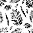 Pattern seamless monotype leaf plant. Botanical stamp print,