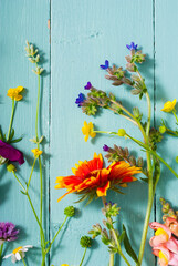 Wall Mural - herbal and wildflowers on blue wooden table background