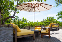 Wooden, Yellow Sofa Couch With Umbrella At The Outdoor Patio. With Green Tree And Blue Sky Nature Background. 