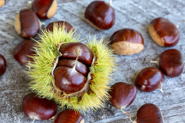 Wall Mural - Chestnuts on a wooden background. Chestnuts top view. Chestnut autumn background.