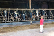 © AlcelVision - enfant donnant du foin aux vaches