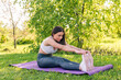 © dianagrytsku - Fitness, sport, training, park and lifestyle concept - smiling woman doing exercises on mat outdoors in park