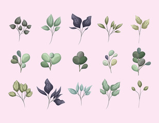 Poster - set of green leaves painting design of Natural floral nature and plant theme Vector illustration